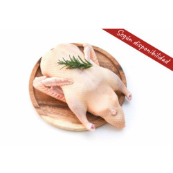 Pato entero al corte