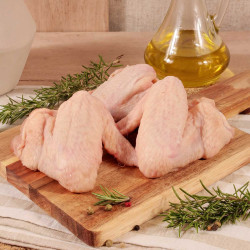 Alas de pollo