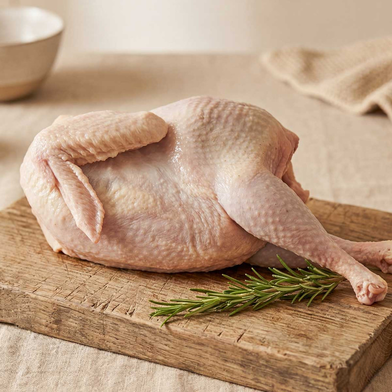 1/4 de gallina
