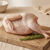 Gallina entera